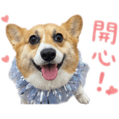 小妞妞超可愛