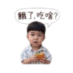 胖柚的生活日常