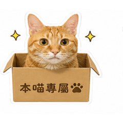 橘喵の日常