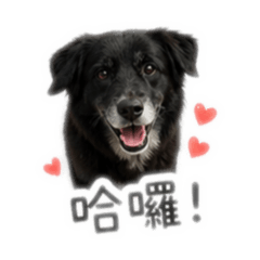 Happy 君