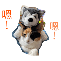 兩隻貓的貼圖2026