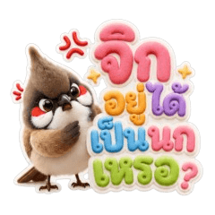 Sweet Pastel JukBird : Everyday Use