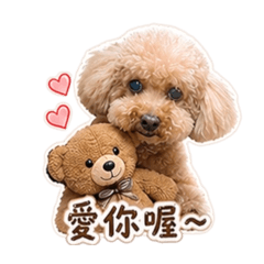 貴賓狗妹妹2