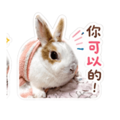 美兔兔