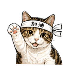 sun moon meow