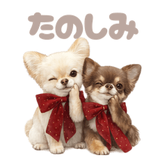 DOG STAMP ORDER_20260514133037