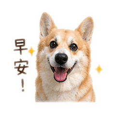 胖的日常用語-①