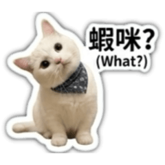 嚕嚕の日常實用貼圖