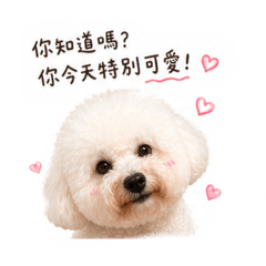 奶寶的土味情話