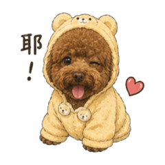Didiの日常用語篇