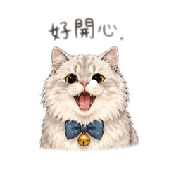一家貓咪2