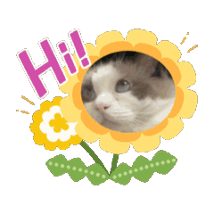 動動發財