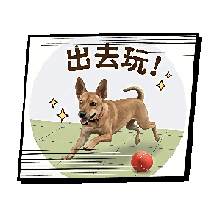 波波莉娜.貝貝魯多