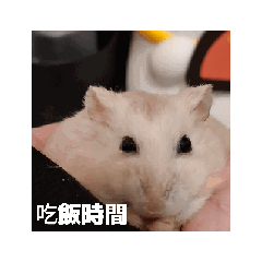 問候日常（1）