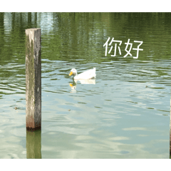 QB嘎