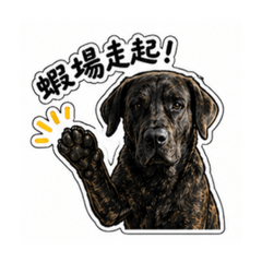 涼圓的開心樂園