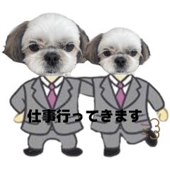 yumeka_20260511082657