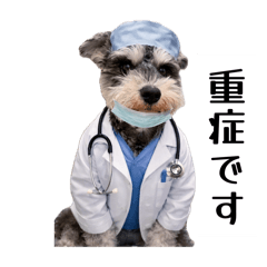 MISAKO_20260511084857