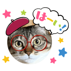 Kiki_20260511082426