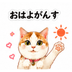 kojisaku_20260511094457