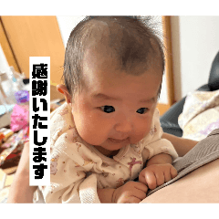 Wakape_20260511085959