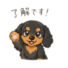 amuttsu_20260511100310