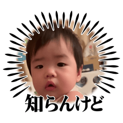 Saori_20260511094538