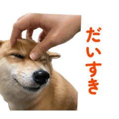 same_20260511095558