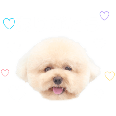 momo_20260501202242