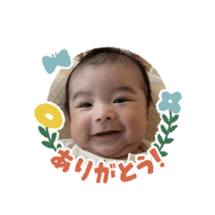 yuki_20260511102232