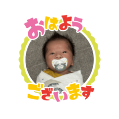 k_20260511102455