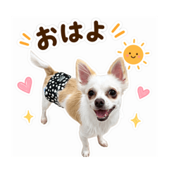 madoka_20260511103236
