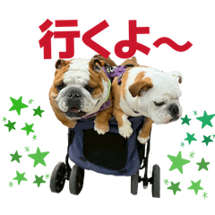 GARP_20260511102944