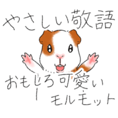 Polite language funny & cute guinea pig