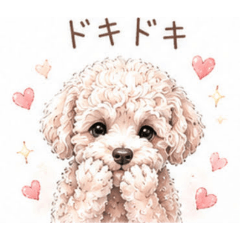 noko_20260511103752