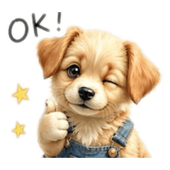 riria__20260429113427