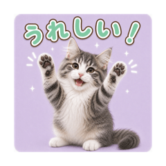 yocha_20260501173607