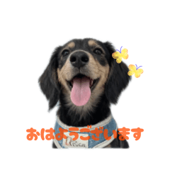 otamaru_20260510214830