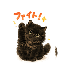 Fujiko_20260510214156