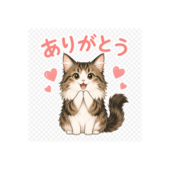 Cha_20260510225240