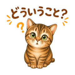 Kikumoto_20260510225133