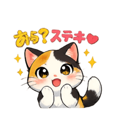 cute calico cat misora