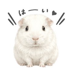 RYO_20260510231306