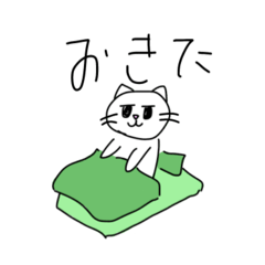 myo_20260510232115