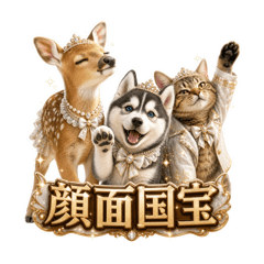 Arinko_20260510225418