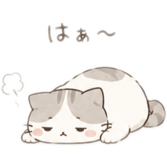 Jojodamo_20260511001601