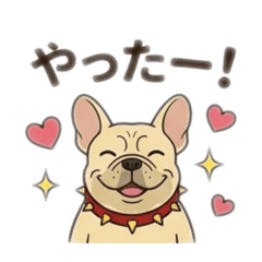 YAYO_20260511002827