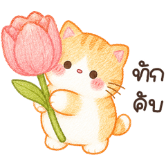 meowjaosom <3