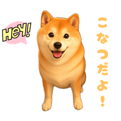 masaki_20260511003447