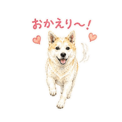 okome25_20260510230637